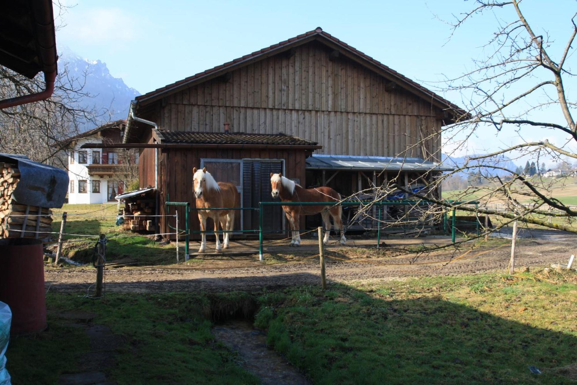Bachbauernhof Διαμέρισμα Bayerisch Gmain Εξωτερικό φωτογραφία
