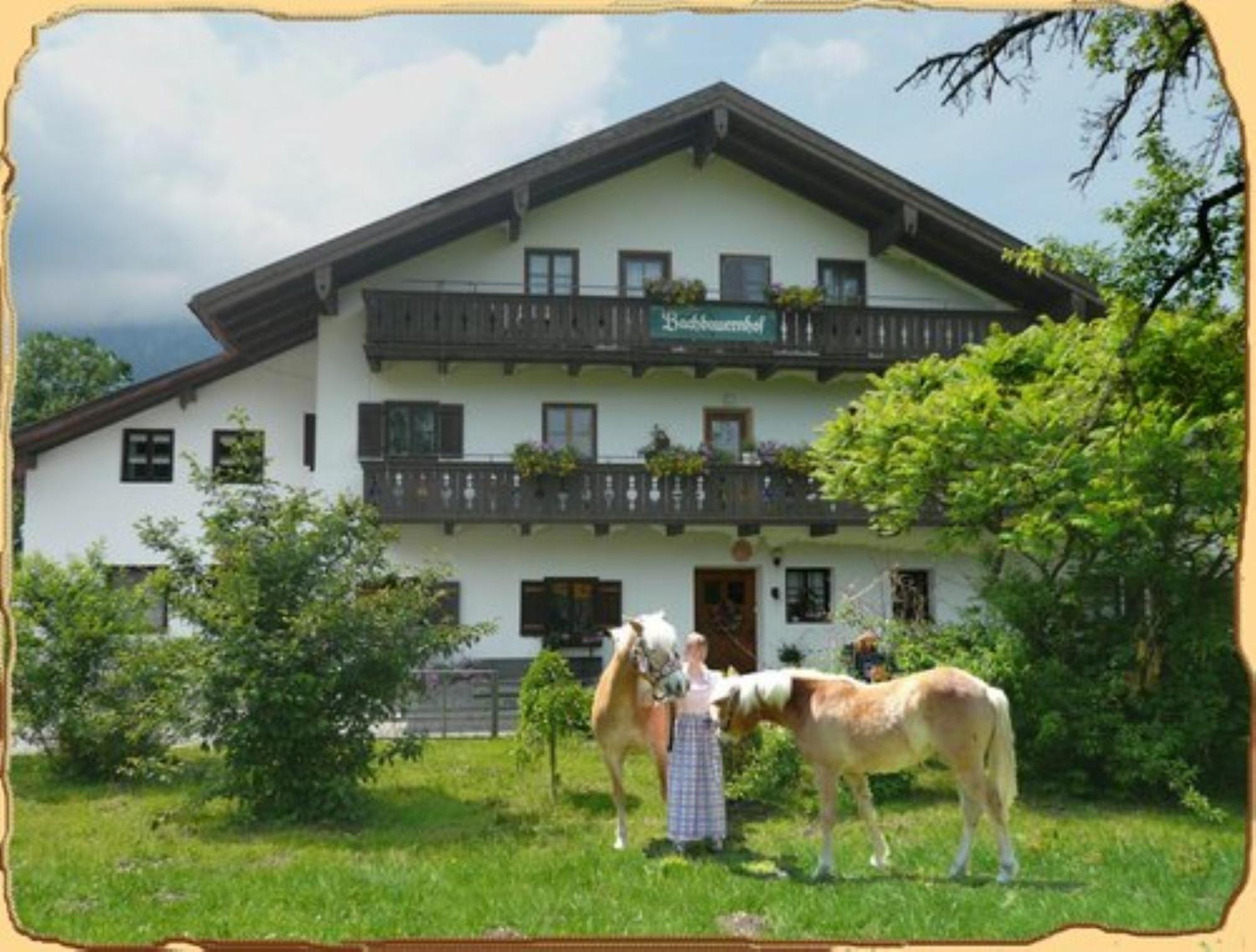 Bachbauernhof Διαμέρισμα Bayerisch Gmain Εξωτερικό φωτογραφία
